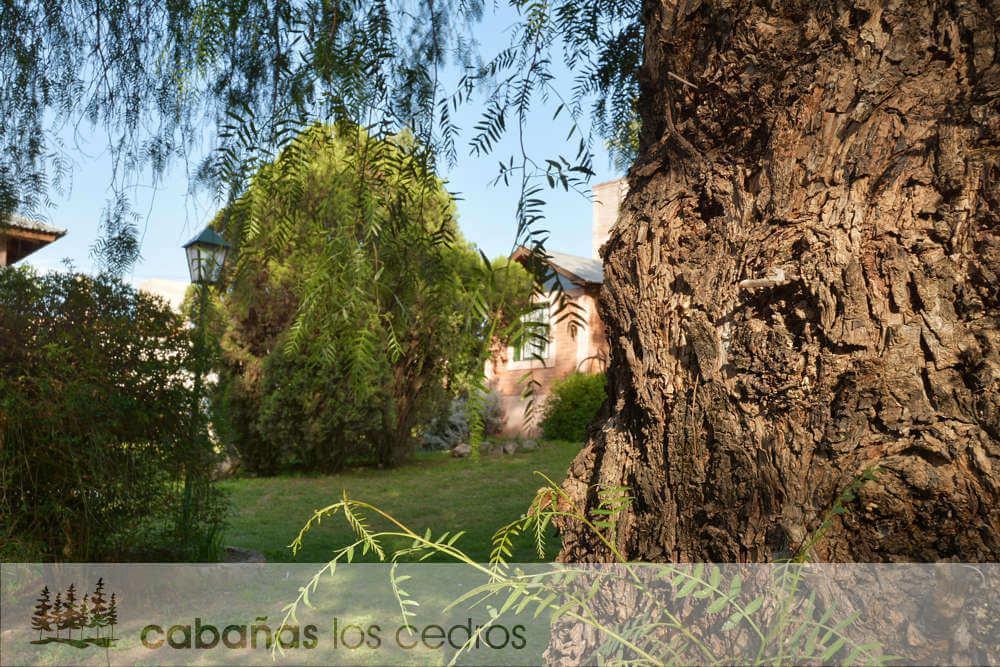 Cabanas Los Cedros Hotel Tanti Zewnętrze zdjęcie